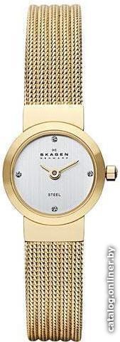 

Наручные часы Skagen SKW2009