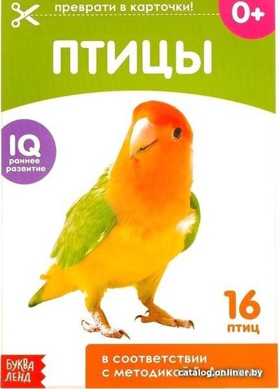 

Учебное пособие издательства Буква-ленд Птицы (Столбова Анна Сергеевна)