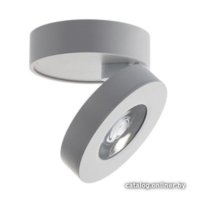 

Спот Megalight M03-005 white