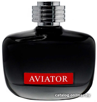 

Туалетная вода Paris Bleu Parfums Aviator Flyback Edition EdT (100 мл)