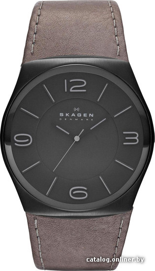 

Наручные часы Skagen SKW6041