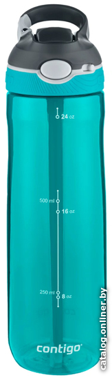 

Бутылка для воды Contigo Ashland 2094866 (скуба)