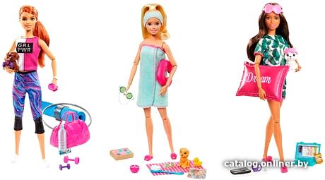 

Кукла Barbie Фитнес GKH73 (в ассортименте)