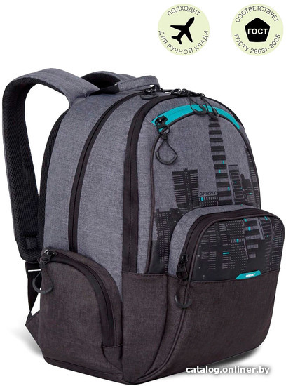 

Школьный рюкзак Grizzly RU-030-41 (черный/бирюзовый)