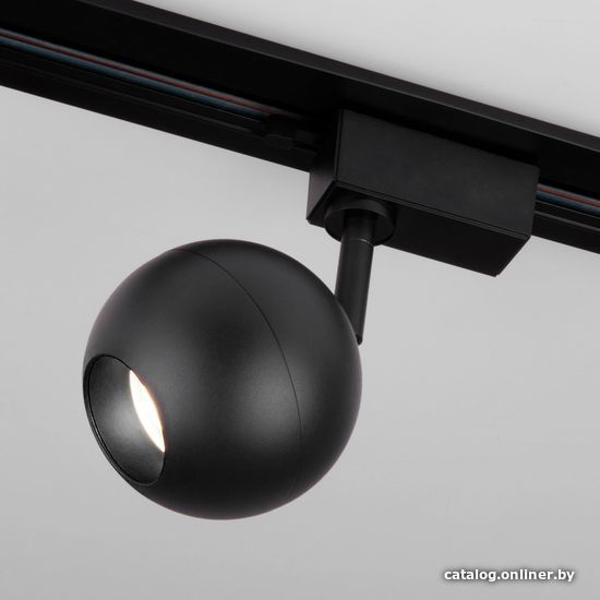 

Трековый светильник Elektrostandard Ball LTB77 12W 4200K (черный)