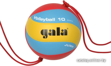 

Волейбольный мяч Gala Jump BV5481S (5 размер)