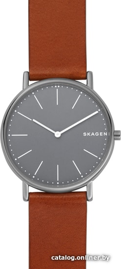 

Наручные часы Skagen SKW6429