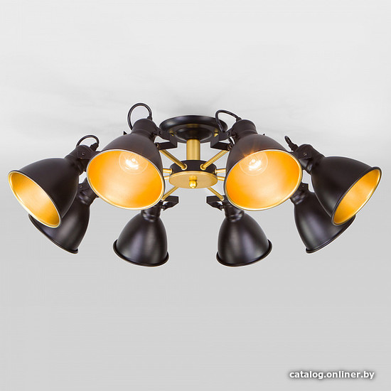 

Люстра средней высоты Евросвет Denley 70112/8 черный