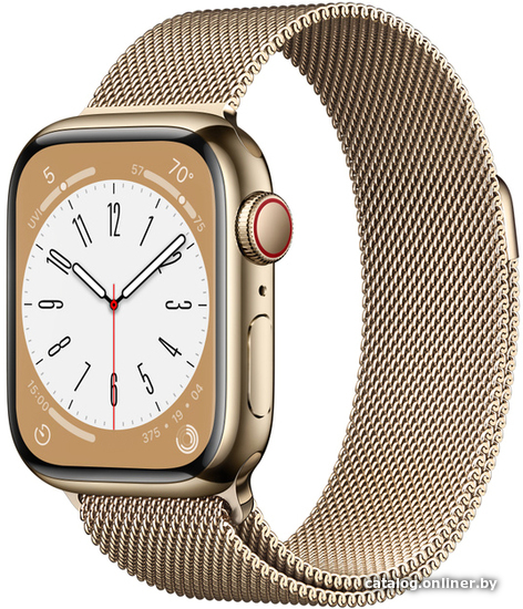 

Умные часы Apple Watch Series 8 41 мм (корпус из нержавеющей стали, золото/миланский золотистый)