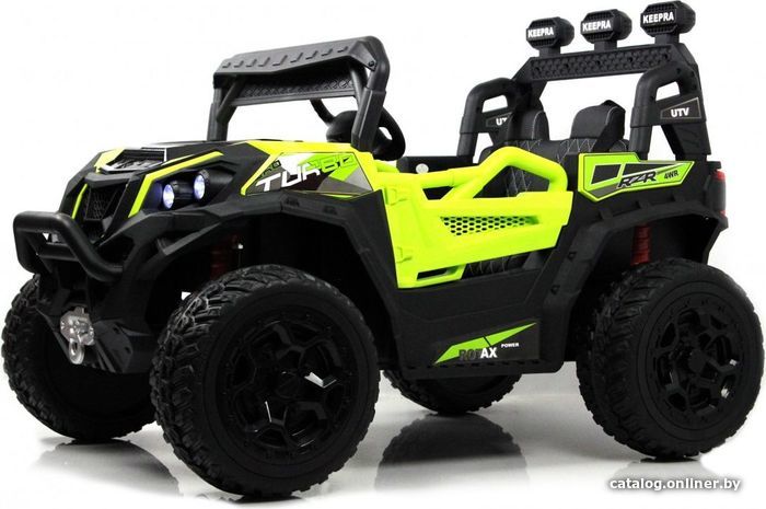 

Электробагги RiverToys C111CC-B (зеленый)