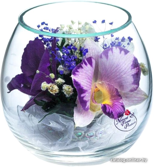 

Цветы, букеты Natural Flower Products Композиция из белых, фиолетовых и светло-фиолетовых орхидей ItpV