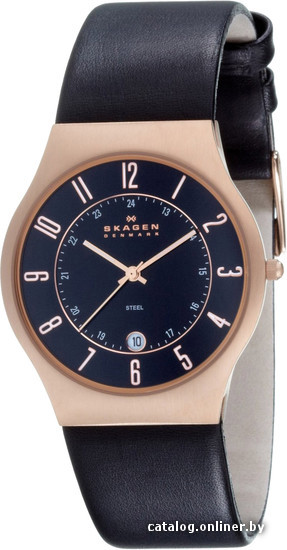 

Наручные часы Skagen 233XXLRLB