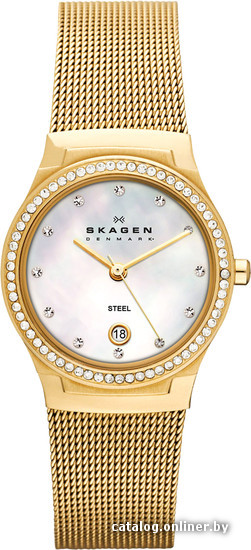 

Наручные часы Skagen SKW2040