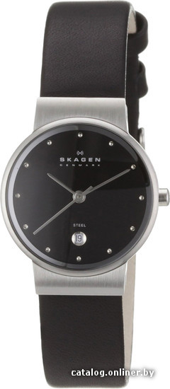 

Наручные часы Skagen 355SSLB