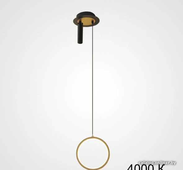 

Подвесная люстра ImperiumLoft String01 213718-26
