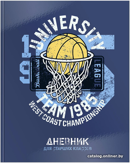 

Дневник Schoolformat Баскетбол для старших классов ДСТ-БС