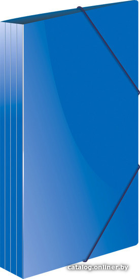 

Папка для бумаг Berlingo Standard А4 MB2325 (синий)