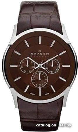 

Наручные часы Skagen SKW6001