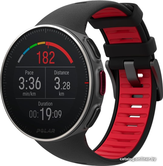 

Умные часы Polar Vantage V Titan M/L (черный)