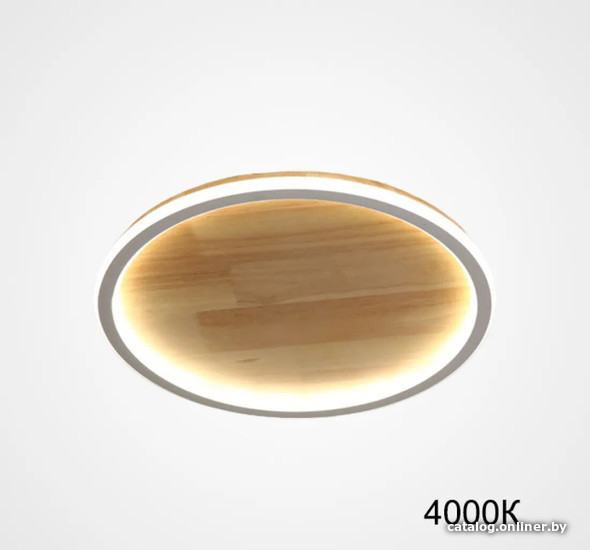 

Светильник-тарелка ImperiumLoft Dolan01 223945-23