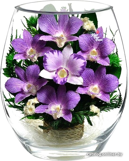 

Цветы, букеты Natural Flower Products Композиция из фиолетовых орхидей LOV1
