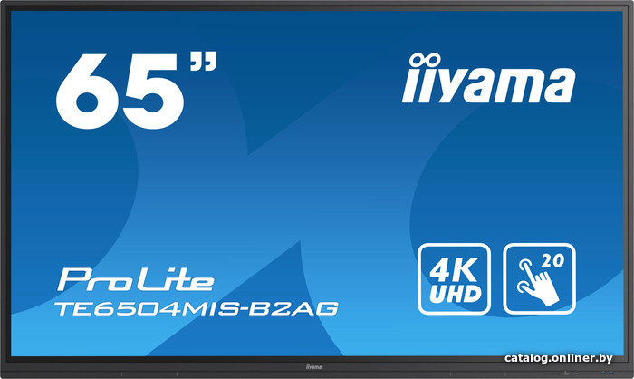 

Интерактивная панель Iiyama ProLite TE6504MIS-B2AG