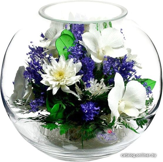 

Цветы, букеты Natural Flower Products Композиция из белых орхидей и белых хризантем IUT5