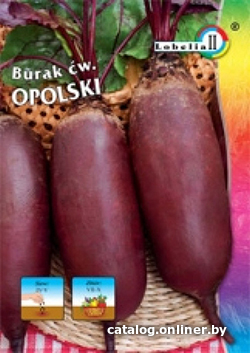 

Семена Lobelia II Свекла Опольская 20 г