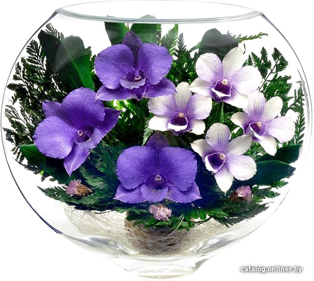 

Цветы, букеты Natural Flower Products Композиция из фиолетово-белых и фиолетово-синих орхидей LZV-01