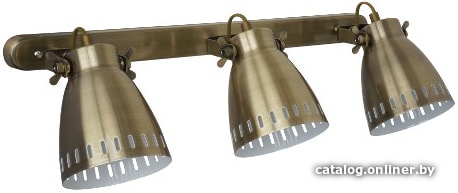 

Точечный светильник Camelion New York WML-428-3 (медный)