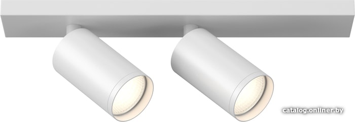 

Точечный светильник Maytoni FOCUS S C051CL-2W