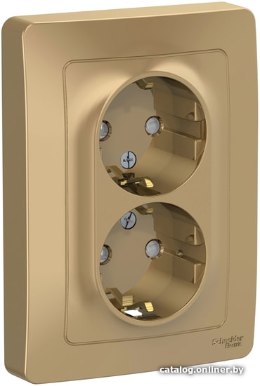 

Розетка Schneider Electric BLNRS001124