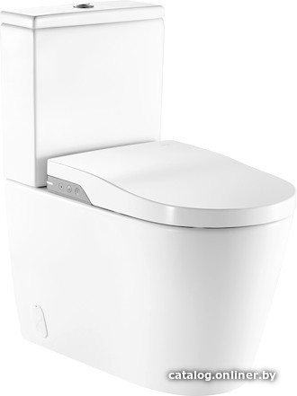 

Унитаз Roca Inspira In-Wash [803061001]