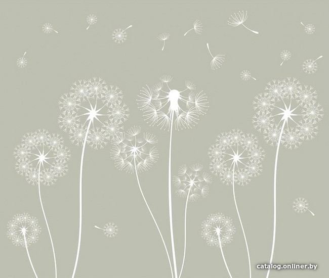 

Фотообои Citydecor Одуванчик с защитным покрытием 300x254