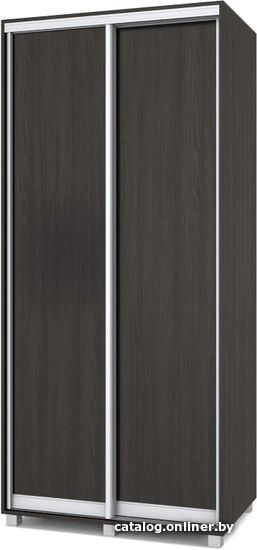 

Шкаф-купе Modern Роланд 1000 (450) (венге)