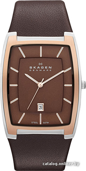 

Наручные часы Skagen SKW6004