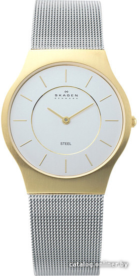 

Наручные часы Skagen 233LGS