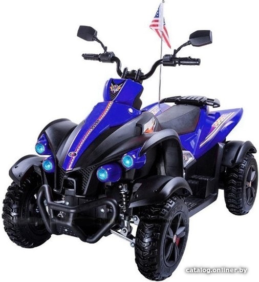 

Электроквадроцикл RiverToys P222PP (синий)
