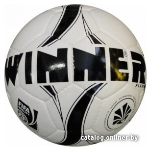 

Мяч Winnersport Flame (5 размер)