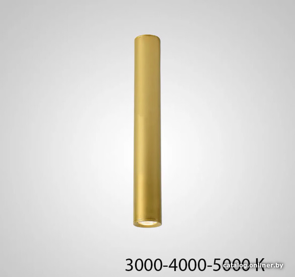 

Точечный светильник ImperiumLoft Pan01 212650-23