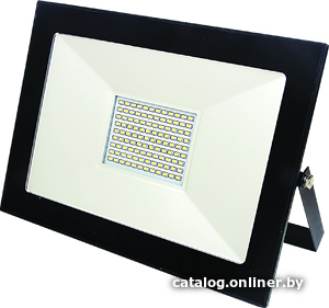 

Уличный прожектор Mobilux Evostar EV-LED-SMD100W 6400K