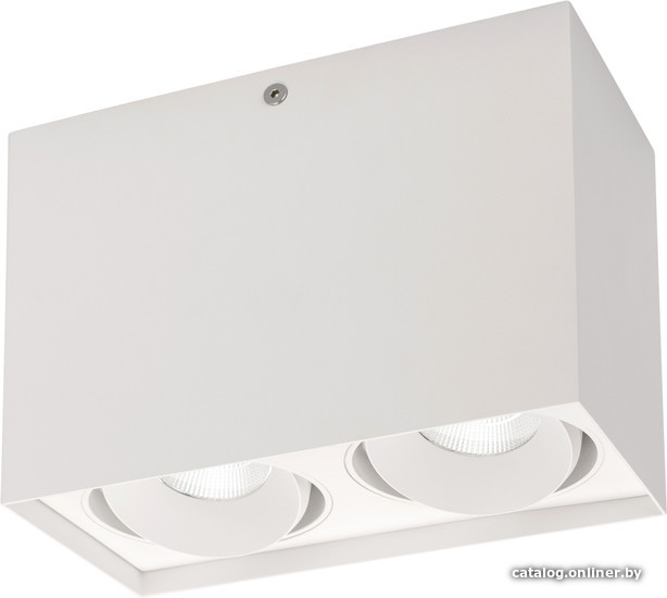 

Точечный светильник Arlight SP-CUBUS-S100x200-2x11W 023084(2)