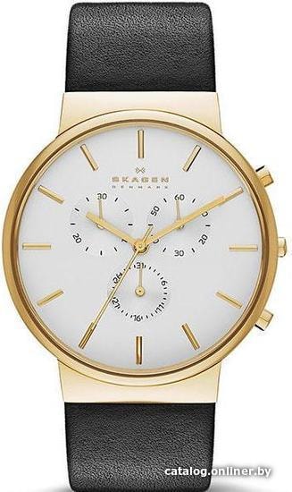 

Наручные часы Skagen SKW6143