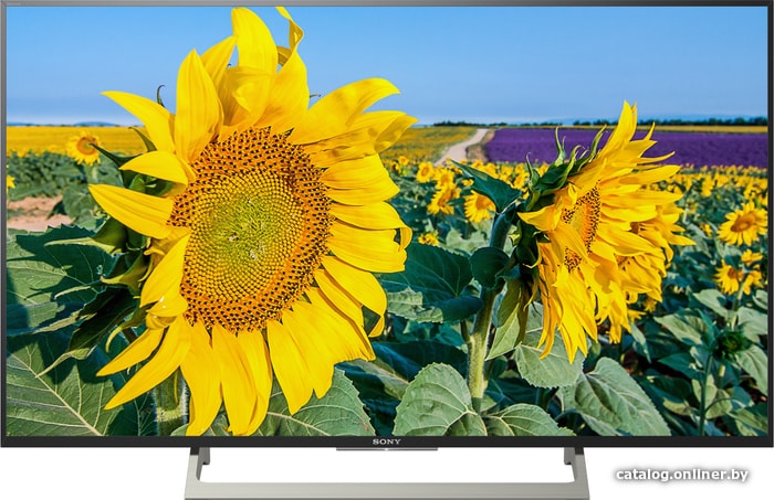 

Телевизор Sony KD-43XF8096
