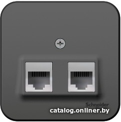 

Розетка компьютерная Schneider Electric Blanca BLNIA045116