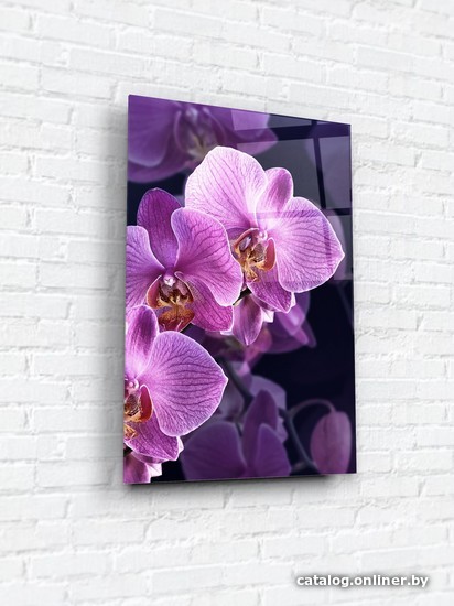 

Картина на стекле ArtaBosko WBR-05-825-04 40x60