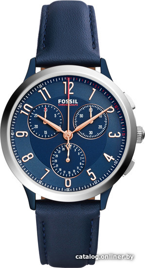 

Наручные часы Fossil CH3072