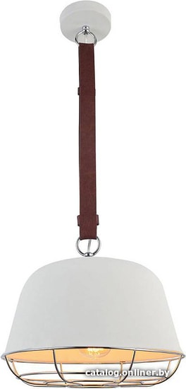 

Светильник Lussole Loft LSP-8043