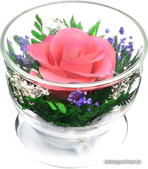 

Цветы, букеты Natural Flower Products Композиция из розовых роз JbZYw