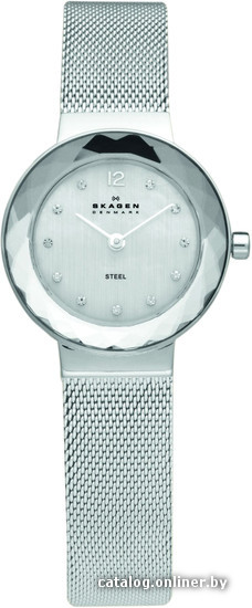 

Наручные часы Skagen 456SSS